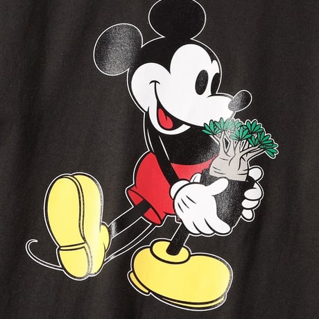 ＜コーデックス＞ミッキーマウス ／ YOSHIDAROBERTO／DISNEY COLLECTION