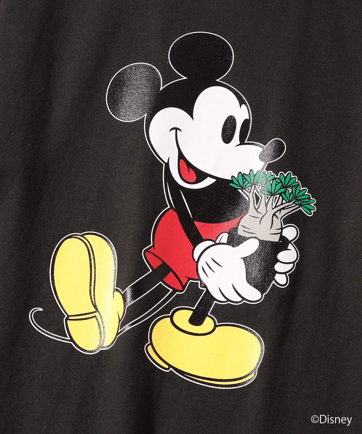 コーデックス＞ミッキーマウス ／ YOSHIDAROBERTO／DISNEY
