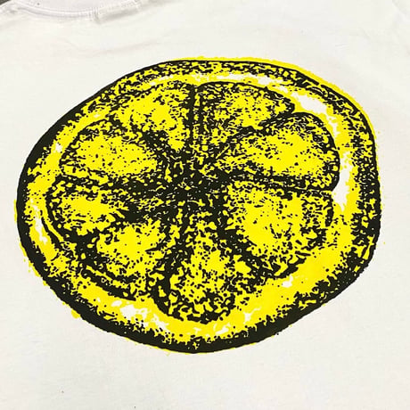 EX DESIGN - The stone Roses
