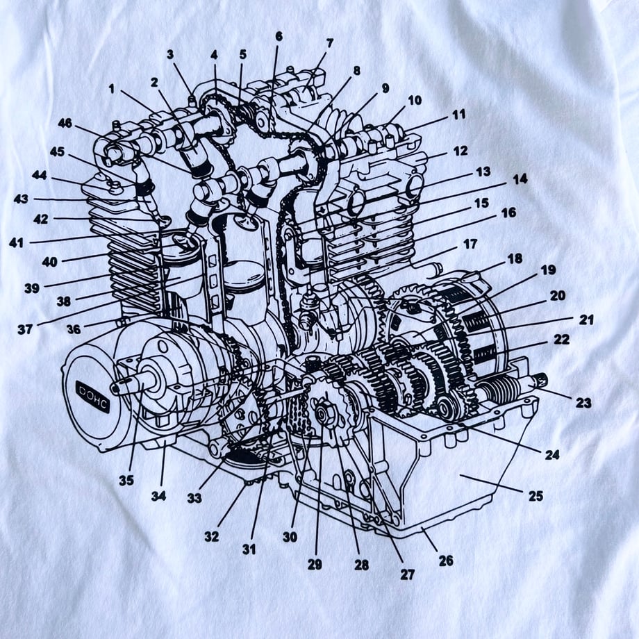 66dab14d0c846b01f400eef9