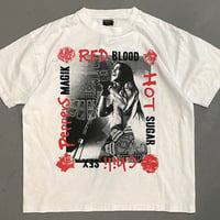 EX DESIGN - RHCP Blood Suger sex Magic