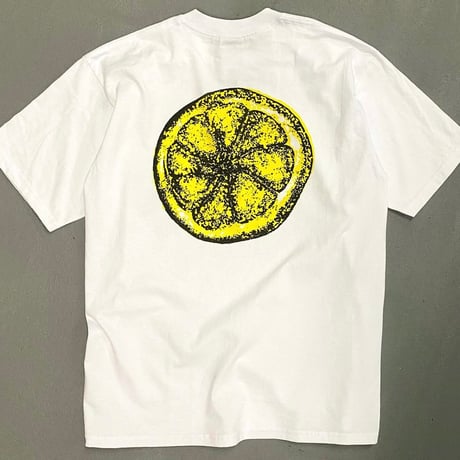 EX DESIGN - The stone Roses