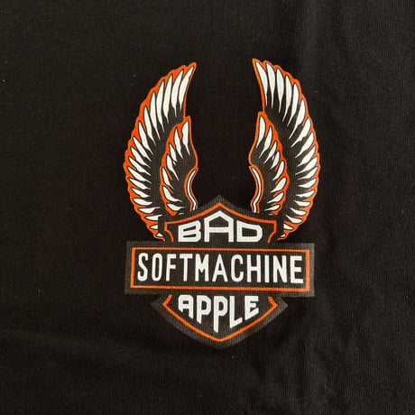 THE SOFTMACHINE - FOOLISH L/S
