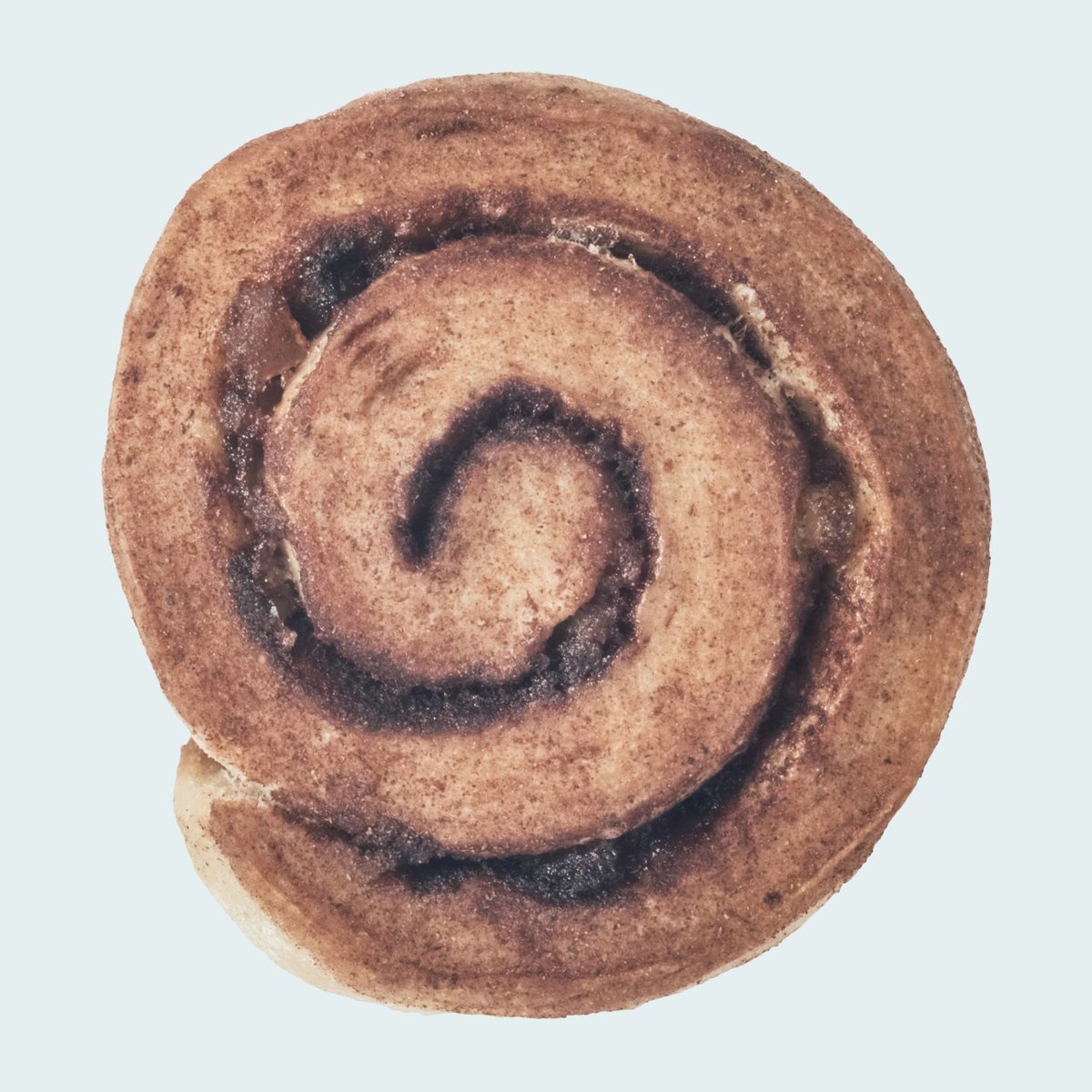 Vegan Cinnamon Roll (Lemon peel)_3 pieces / ビーガ