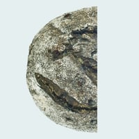 Spirulina & Vegan Chocolate Chips_half / スピルリナとビーガンチョコチップ_1/2