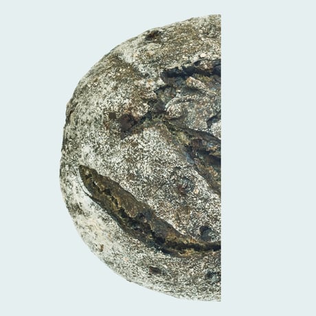 Spirulina & Vegan Chocolate Chips_half / スピルリナとビーガンチョコチップ_1/2