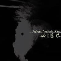 宋冬野 / 再想想 [2LP]