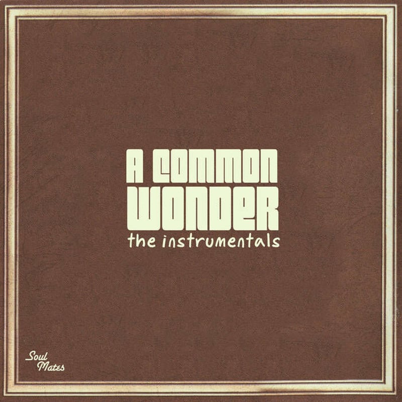洋楽 Common Wonder / Common vs. Stevie Wonder COMMON VS STEVIE WONDER / A COMMON WONDER INSTR