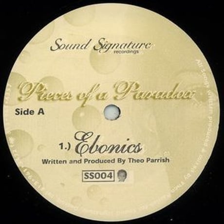 THEO PARRISH / PIECES OF PARADOX  -Repress!!- [12inch]