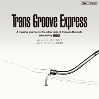 優河 / 言葉のない夜に [LP] | Banguard OnLinE sTorE