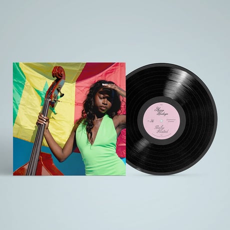 AMY GADIAGA / babygoodbye [12inch]