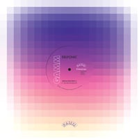 DELFONIC / BERLIN REWORKS 3 [12inch]