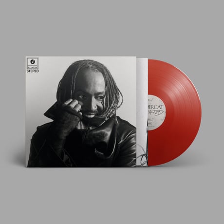 Thundercat / Distracted [LP]