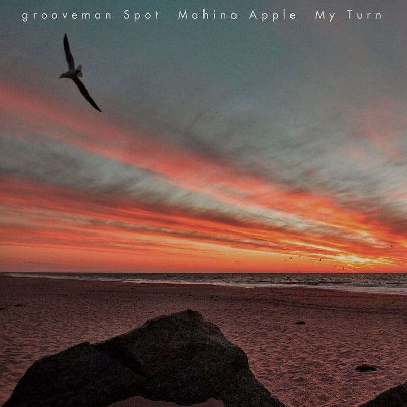 grooveman Spot & Mahina Apple / My turn [7inch]