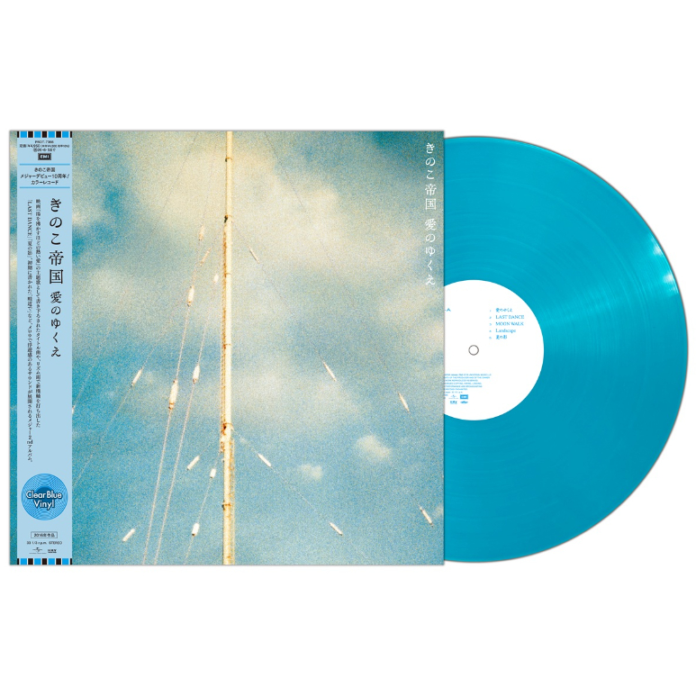 きのこ帝国 レコード 3点セット＋クリアファイル きのこ帝国、入手困難となってしまったレコード、3タイトルが