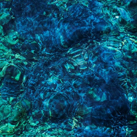 青葉市子 | STORES