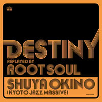 沖野修也 / DESTINY replayed by ROOT SOUL [LP]