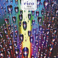 レコードの日2020 - eico / Drop Slowly Dub Is Here Remix [7inch]