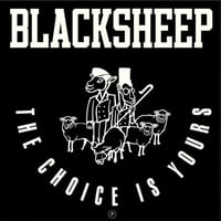 BLACK SHEEP / CHOICE IS YOURS [7inch]