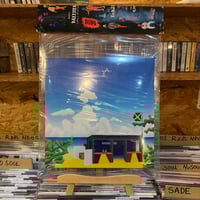 DOWN NORTH CAMP / The believable media is aroun