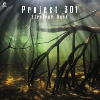 Project 301 / Strategy - Dusk [7inch]