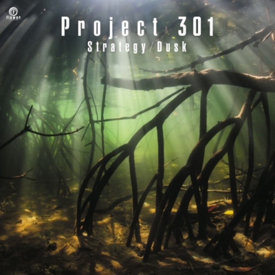 Project 301 / Strategy - Dusk [7inch] | Banguar...