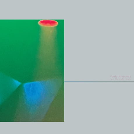 5月中旬予定 - Fumio Miyashita(宮下富実夫) / See The Light Remix [LP]
