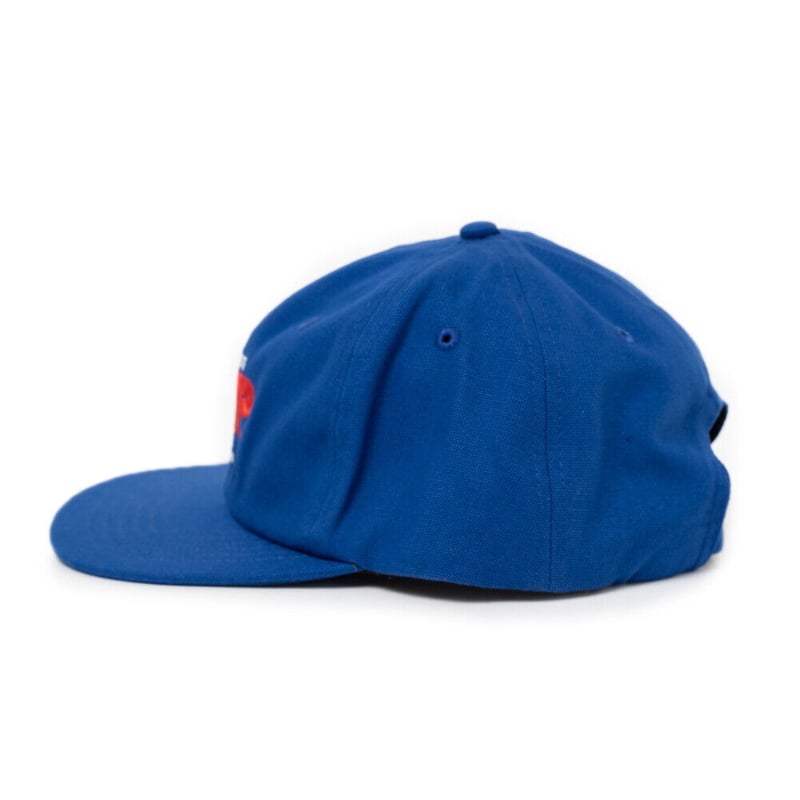 CARHARTT WIP / WORM LOGO CAP [GULF] | Banguard