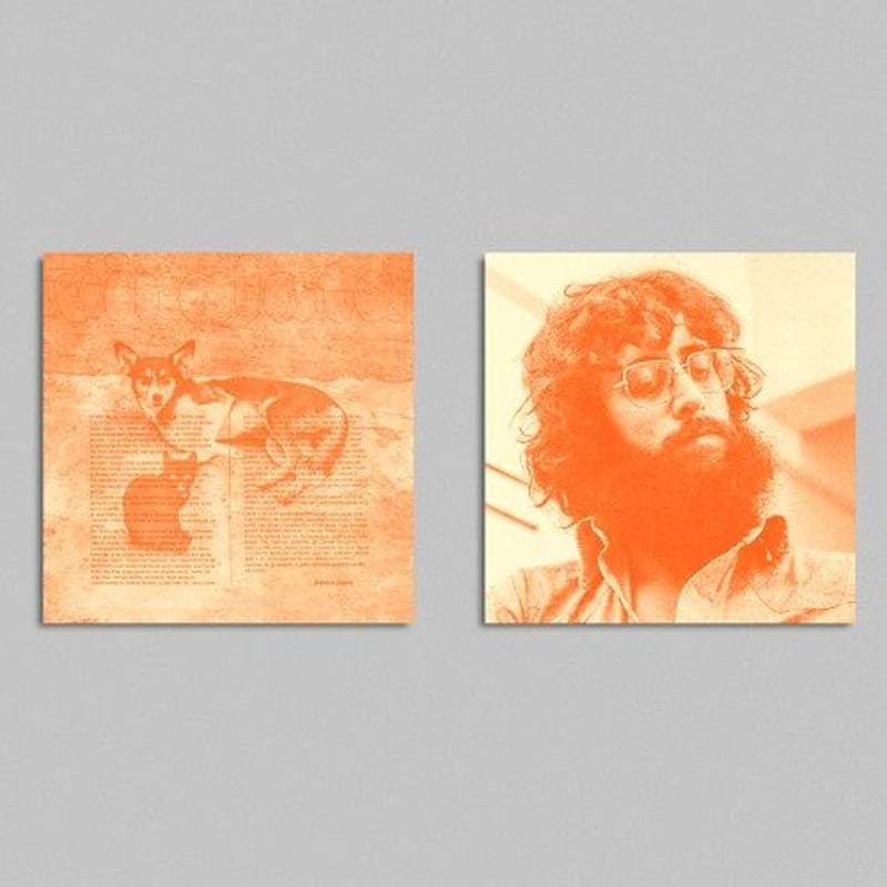 ANTONIO ADOLFO / VIRALATA -Cleam Vinyl- [LP] |