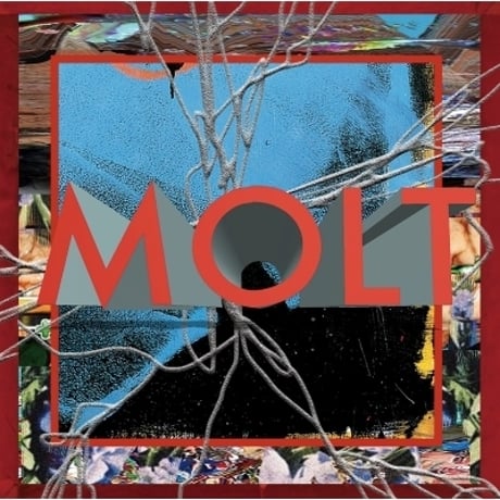 MOLT / MOLT [LP]