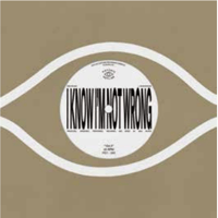 邦楽 BIM / The Beam (2LP) BIM “The Beam” 2LP - SUMMIT