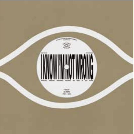 VOLTAMASTERS 坂本龍一 ブッダブランド 12inch 2枚set VOLTAMASTERS 坂本龍一 ブッダブランド 12inch 2枚set Jazz