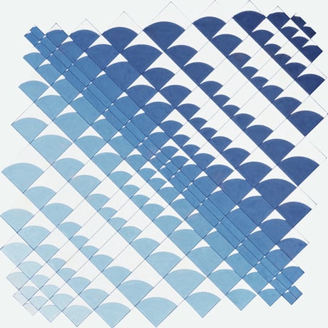 Collettivo Immaginario / Trasforma  -REPRESS= [LP]