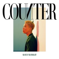 WILYWNKA a.k.a TAKA / COUNTER [LP]