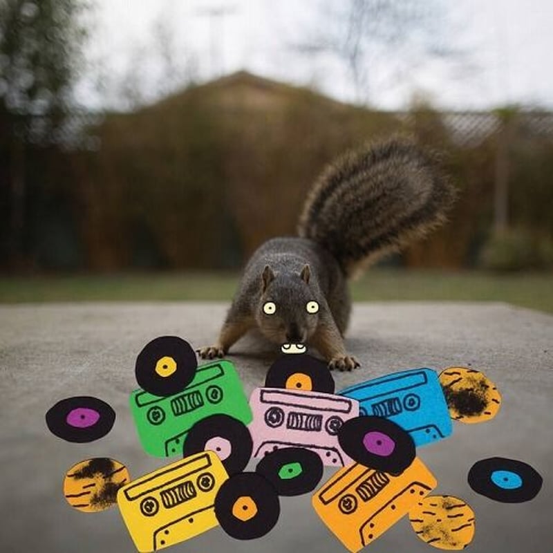 洋楽 EVIDENCE SQUIRREL TAPE INSTRUMENTALS EVIDENCE / SQUIRREL TAPE INSTRUMENTALS VOL. 1 (