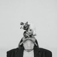 DUSTY HUSKY / DAAM [CD] | Banguard OnLinE sTorE