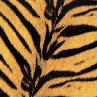 9/30 - THE HIGH-LOWS / Tigermobile [LP]