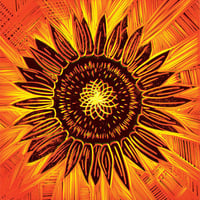 Ronin Arkestra / Sonkei [CD]