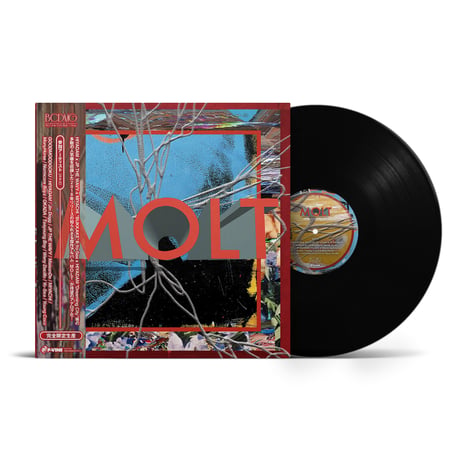 MOLT / MOLT [LP]