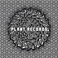 V.A. / PLANT RECORDS V.A. BLACK [CD]