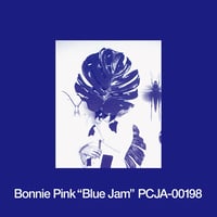 Wa Yo Set / boogieback [LP] | Banguard OnLinE s