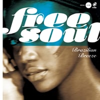 7/8 - V.A / Free Soul ~ Brazilian Breeze for P-VINE [LP]