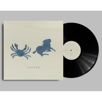 岡田拓郎 Morning Sun LP Morning Sun(LP)/Takuro Okada/岡田拓郎｜日本のロック