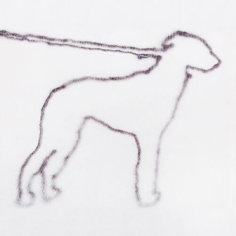 洋楽 JONAH YANO / PORTRAIT OF A DOG (2LP) JONAH YANO / PORTRAIT OF A DOG [2LP] | Banguard