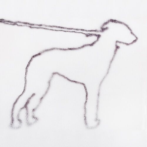 洋楽 JONAH YANO / PORTRAIT OF A DOG (2LP) JONAH YANO / PORTRAIT OF A DOG [2LP] | Banguard