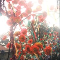 ALEX ALBRECHT / HIRIKETIYA [LP]