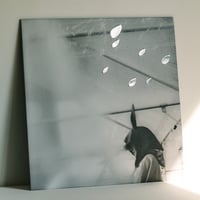 小沢健二 / 日比谷野音の小沢健二　オフィシャル海賊盤 [LP]