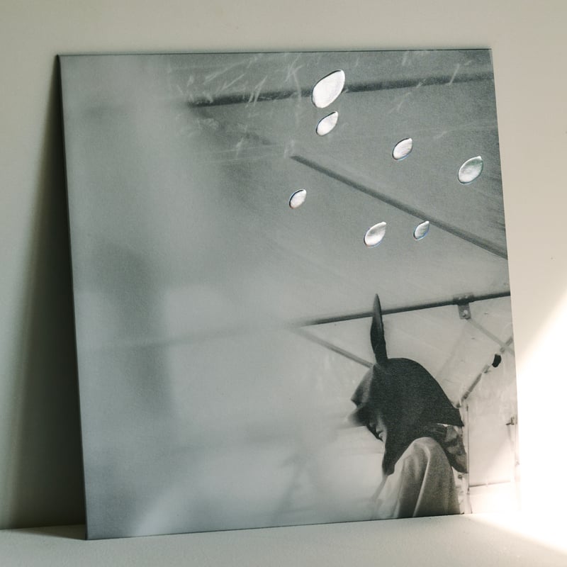 メモラビリア 小沢健二 小沢健二 / 日比谷野音の小沢健二 オフィシャル