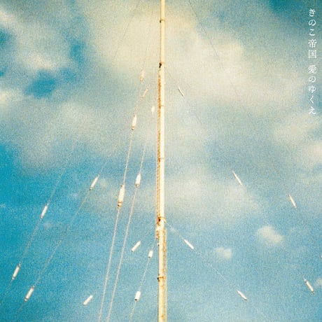 CATEGORY 2025.04 | Banguard OnLinE sTorE