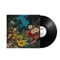 Wa Yo Set / boogieback [LP] | Banguard OnLinE s